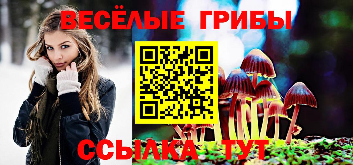 Галлюциногенные грибы прущие грибы  Галлюциногенные грибы ЛСД  Мытищи  Вход с VPN 